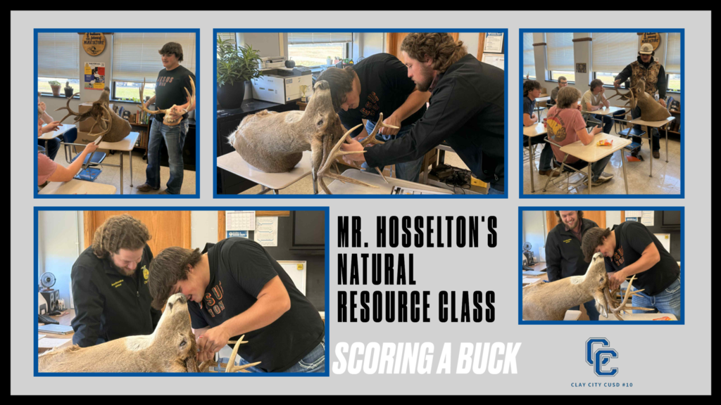 Today in Mr. Hosselton's Natural Resource class, senior Cayden C. brought in a buck to score. Mr. Hosselton showed the class how to take measurements with Cayden's help. Everyone loves a hands-on activity!