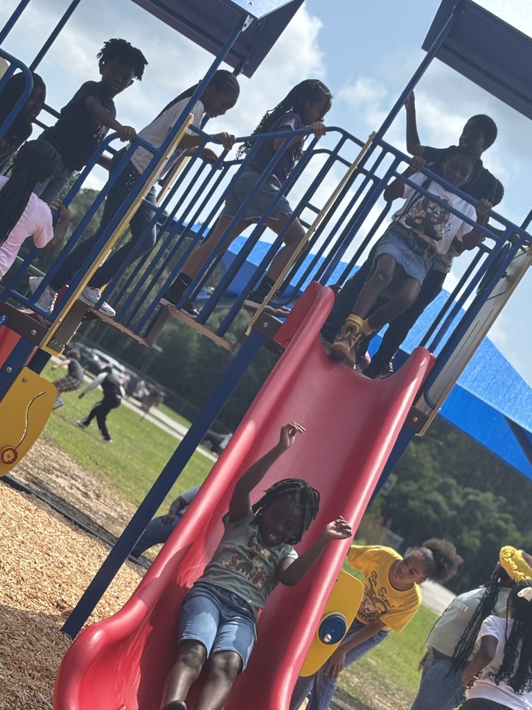 New playground set