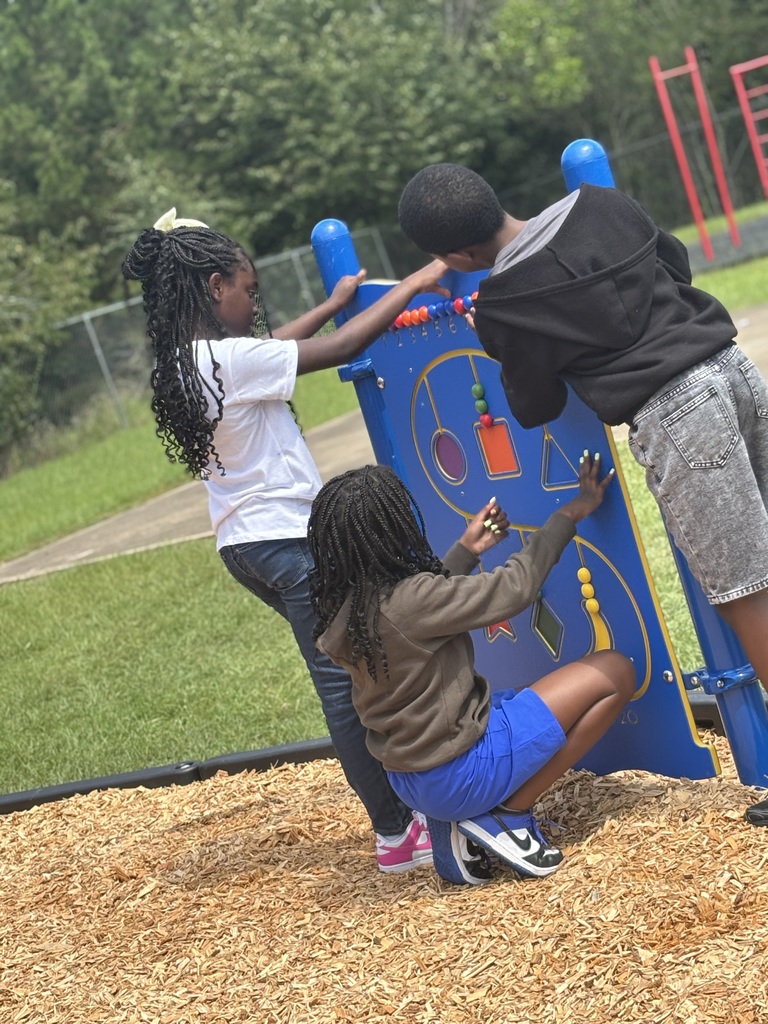 New playground set