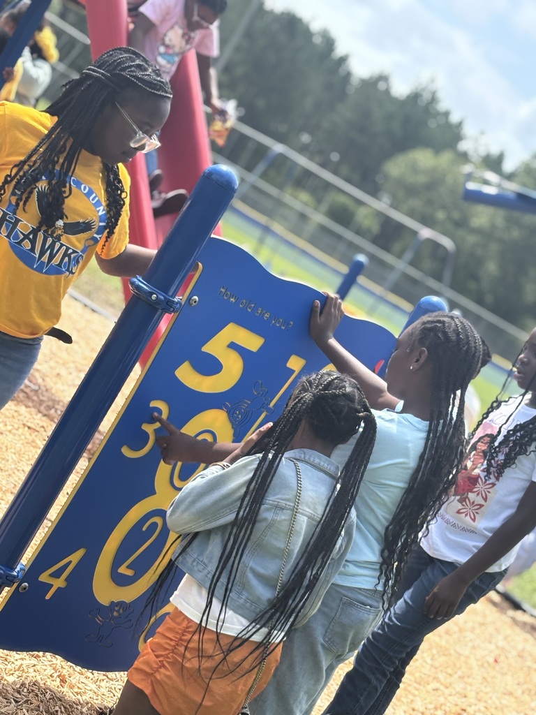 New playground set