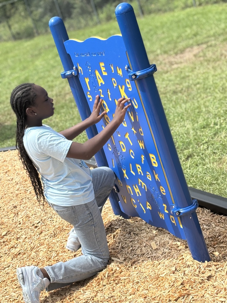 New playground set