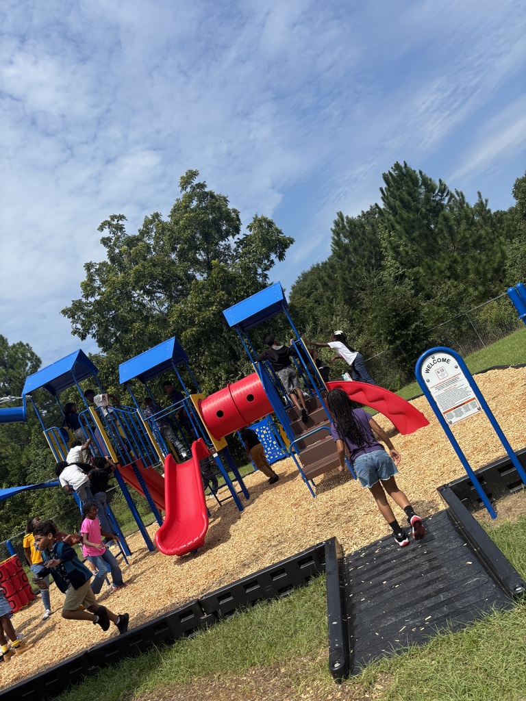 New playground set