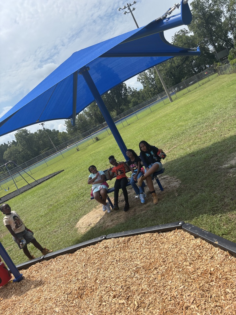 New playground set