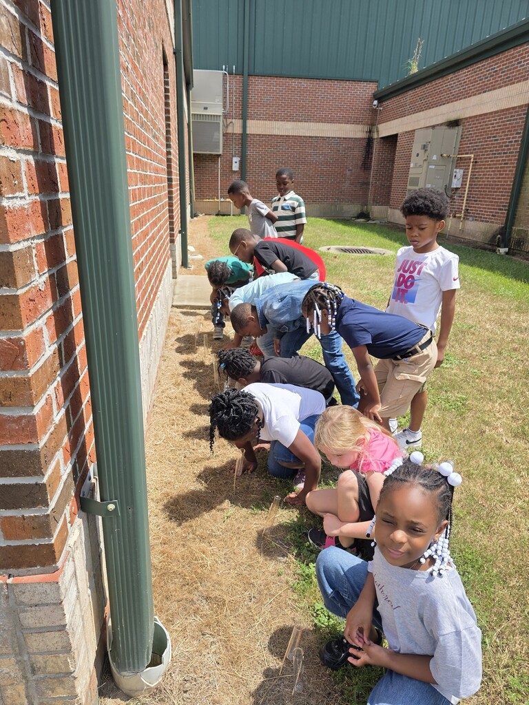 Mrs. Moreno 1st Grade Weather Watchers