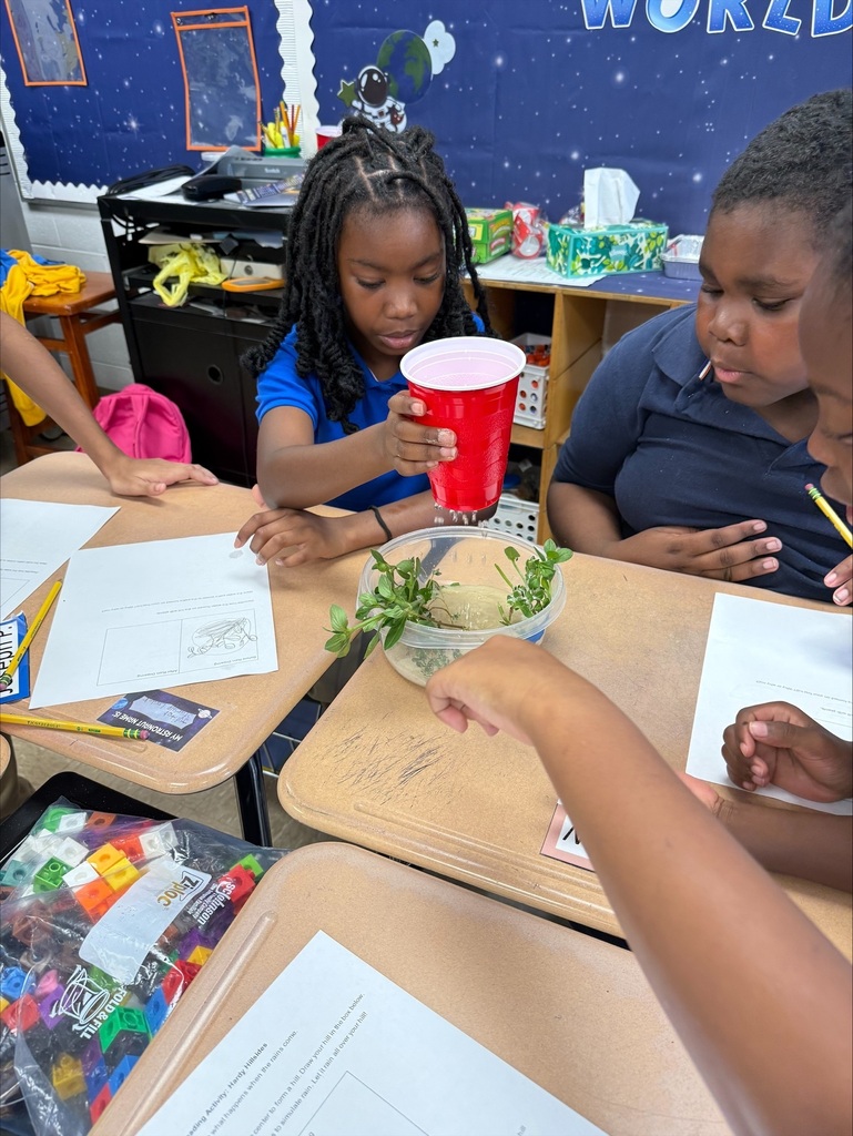 5th Graders investigating rain erosion