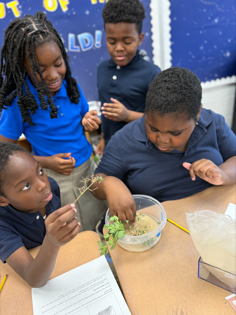 5th Graders investigating rain erosion