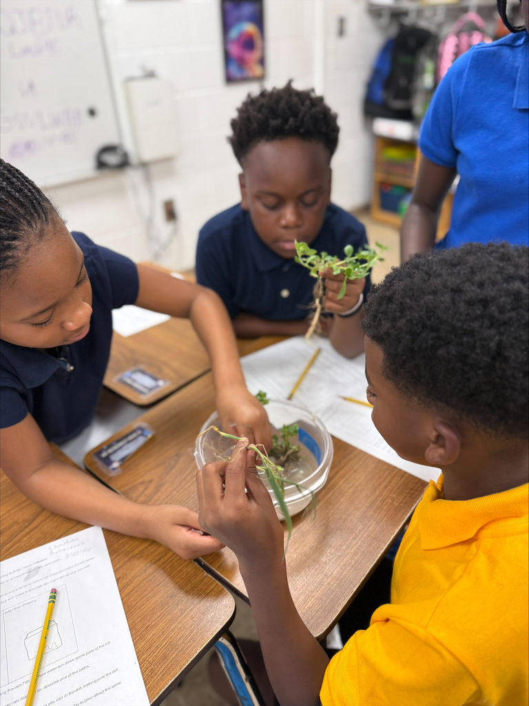5th Graders investigating rain erosion