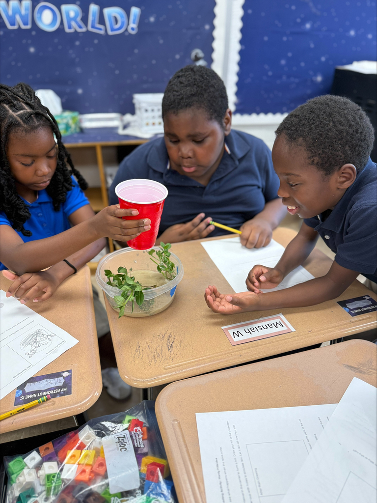 5th Graders investigating rain erosion