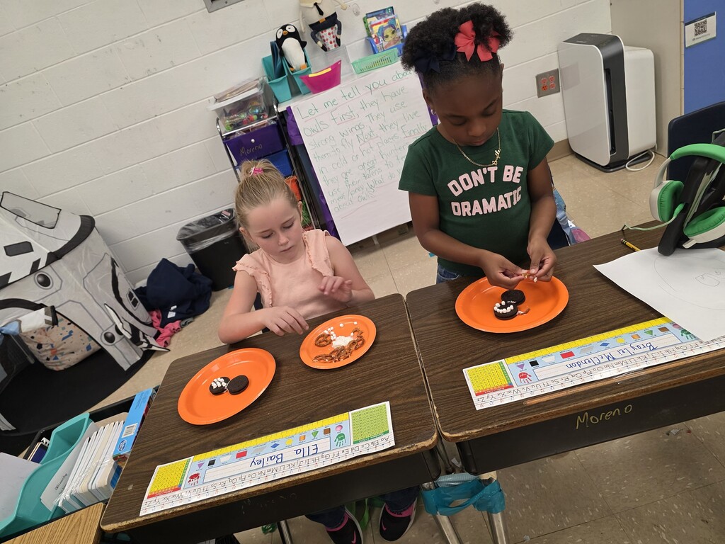 Mrs. Moreno's 1st Grade Spider Activity