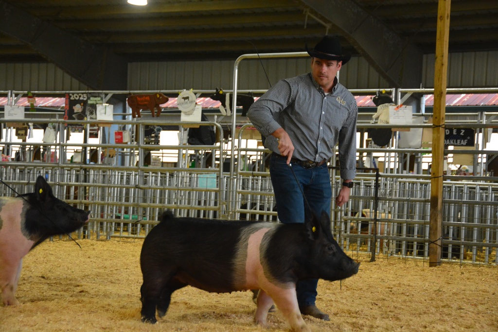 Mr. Fluent won his market class and took home 3rd Overall!