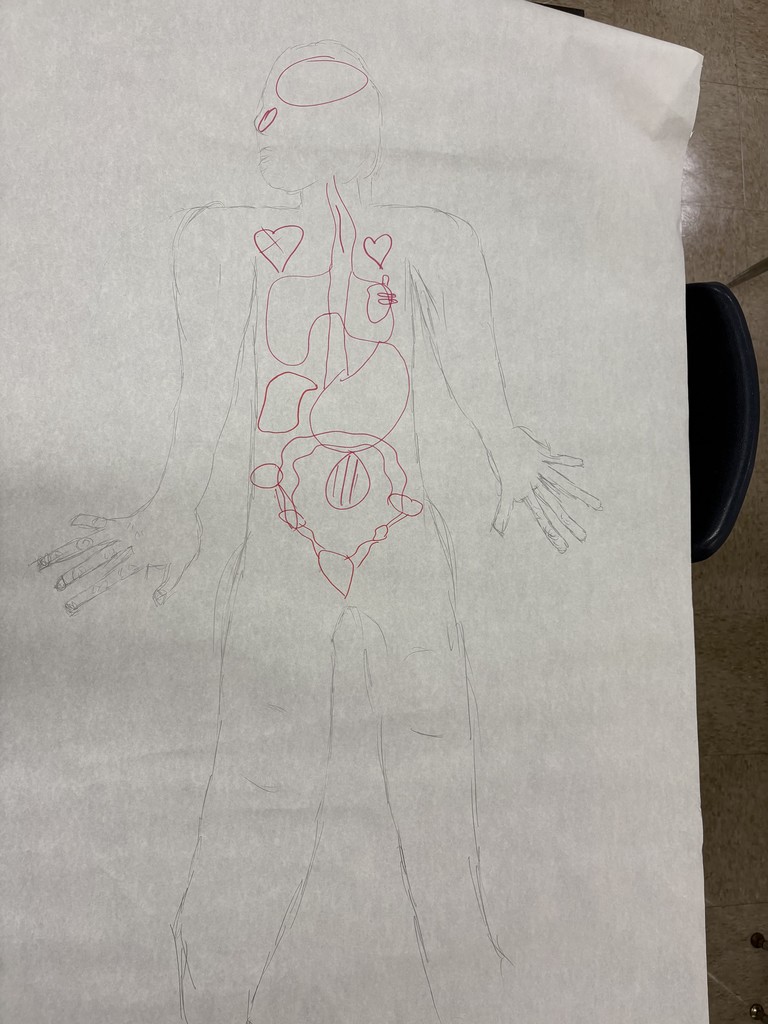 Large paper silhouette of a human body taped to a classroom wall, with hand-drawn anatomy structures added by students during a review activity.
