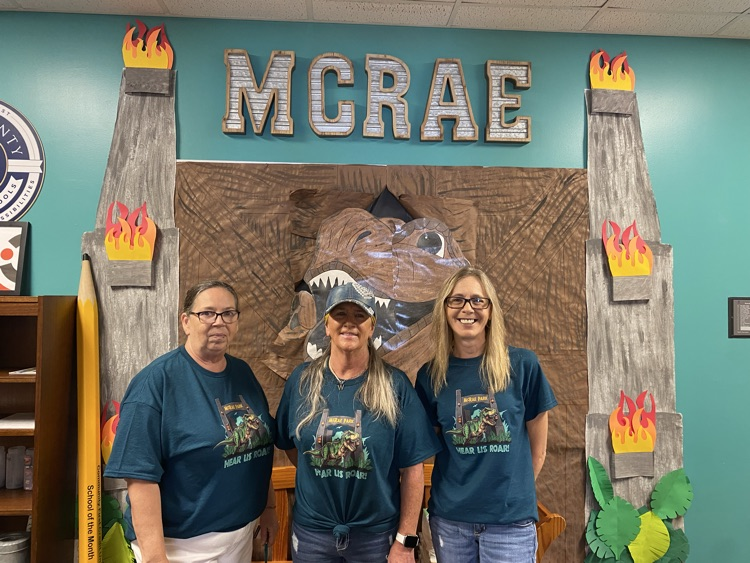 dinosaur shirt