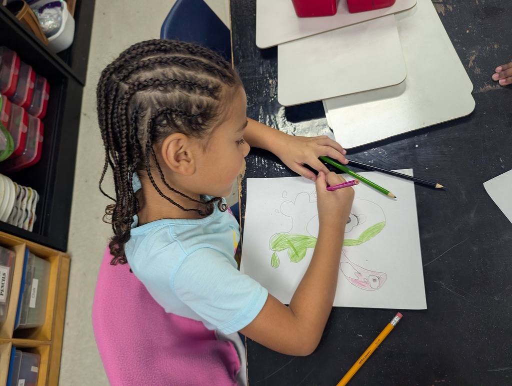 first grade