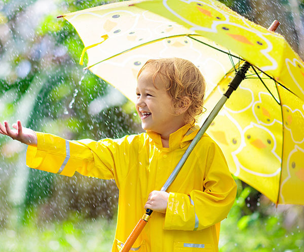 Please make a rainy day plan!