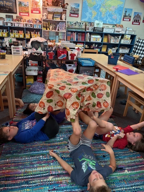 Mrs. Van De Water’s 2nd and 3rd grade classes learned TEAM and STEAM this week. They learned ways of working together as a TEAM through STEAM activities.