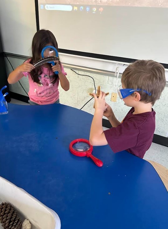 1st Grade in STEM