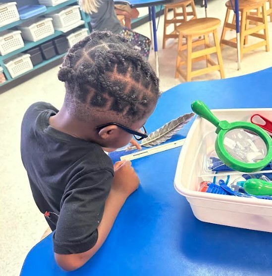 1st Grade in STEM