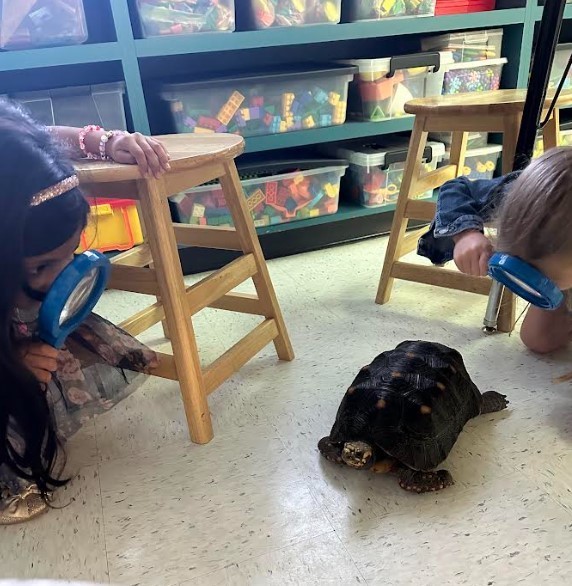 1st Grade in STEM