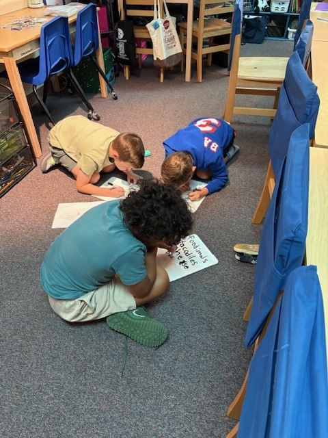 Mrs. Van De Water’s 2nd and 3rd grade classes learned TEAM and STEAM this week. They learned ways of working together as a TEAM through STEAM activities