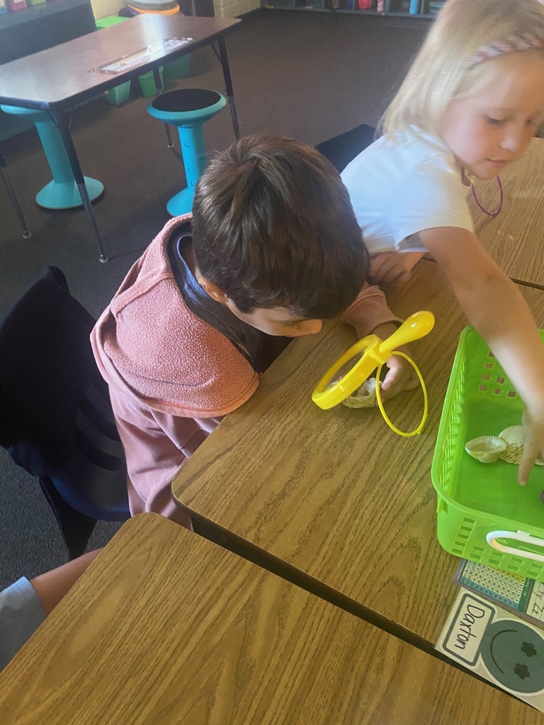 There is a lot of learning going on in Mrs. Kilcoin’s first grade math and science classes! From finding part-total relationships in math to making observations with our science tools.
