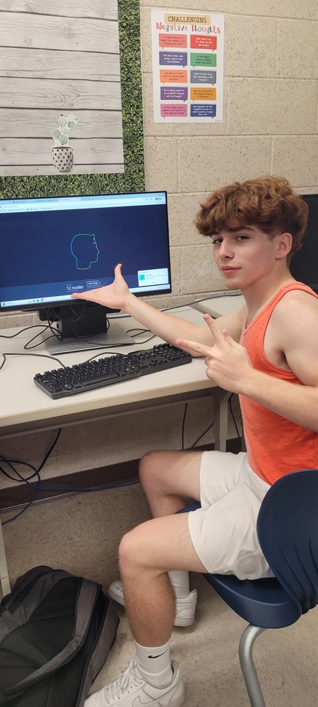 Student completing a puzzle with the pen tool in the Bezier Game