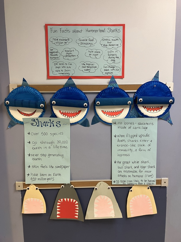 Shark Projects