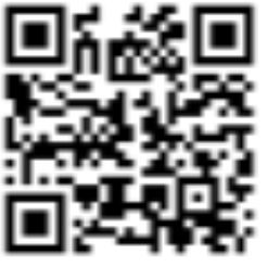 QR Code for School Field Trip T-Shirts!