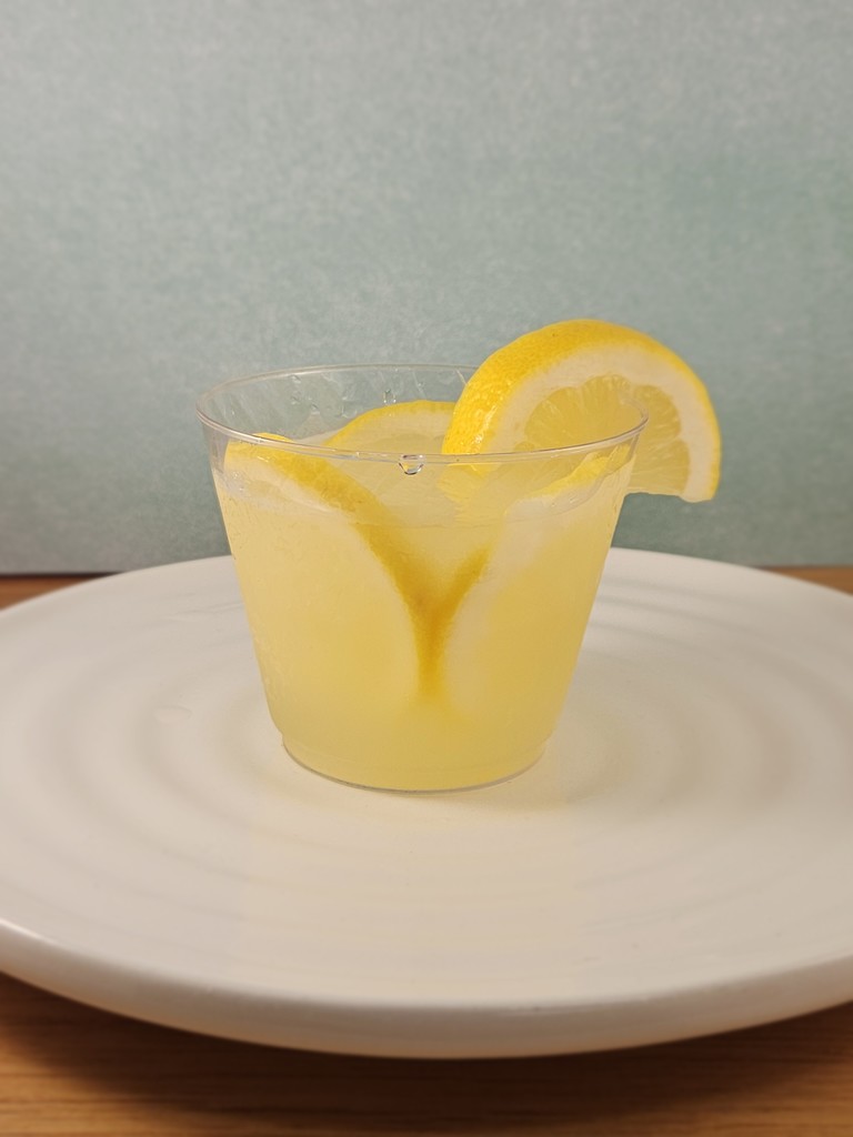 Stevens’ Culinary 2 students kicked off the semester with a sweet and refreshing project—homemade lemon sorbet! Not only did they focus on mastering the recipe, but they also put their creativity to the test by practicing elegant plating and presentation skills. This hands-on lesson was the perfect blend of technique and artistry, setting the tone for a semester full of culinary growth and innovation.