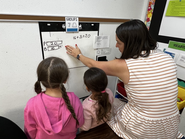 Second Grade Mathematicians