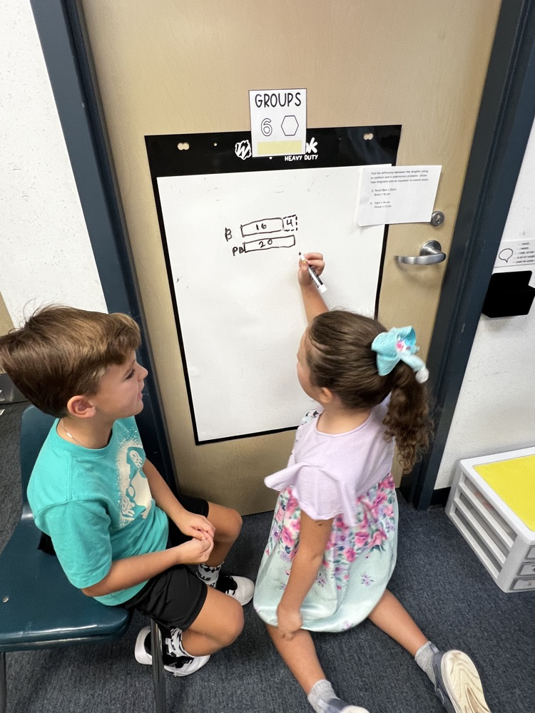 Second Grade Mathematicians