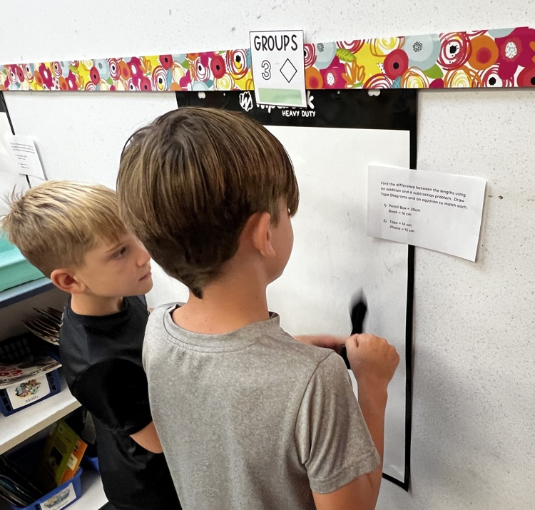Second Grade Mathematicians