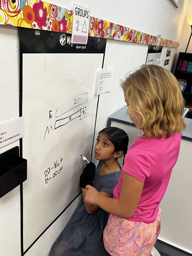 Second Grade Mathematicians
