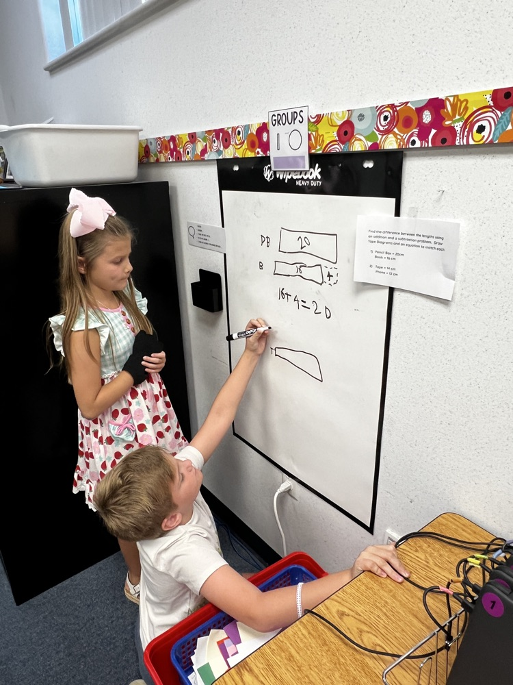 Second Grade Mathematicians