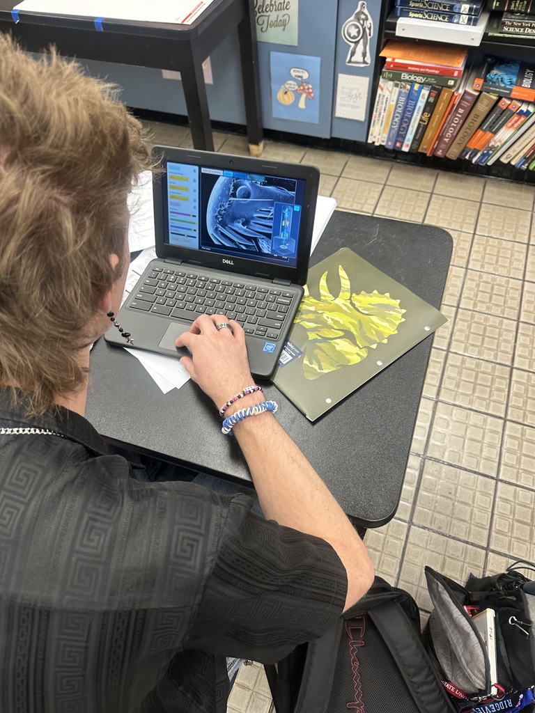 IB seniors in Ms. Skrzypczak’s Biology class utilized a virtual scanning electron microscope to investigate specimens at an advanced level of detail. By observing three-dimensional images at very high magnification—ranging from sugar crystals to spider fangs—students were able to clearly see the distinctions between electron and light microscopy. This experience not only reinforced their content knowledge but also expanded their appreciation for the role of technology in scientific discovery.