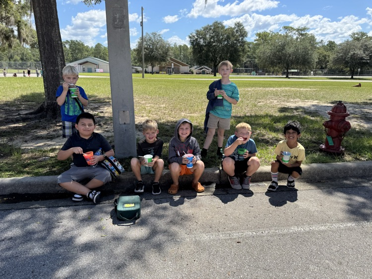 Kona ice