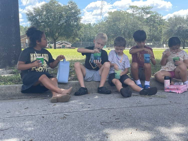 Kona ice