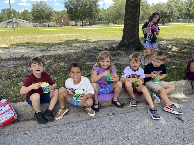Kona ice