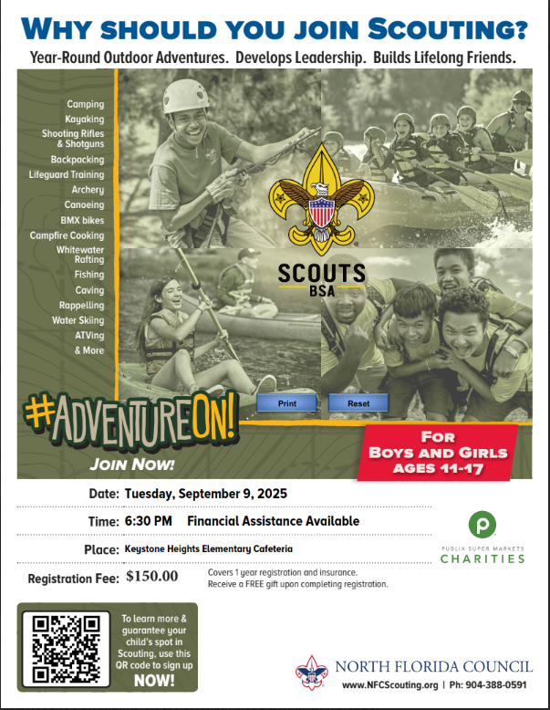 Scouts