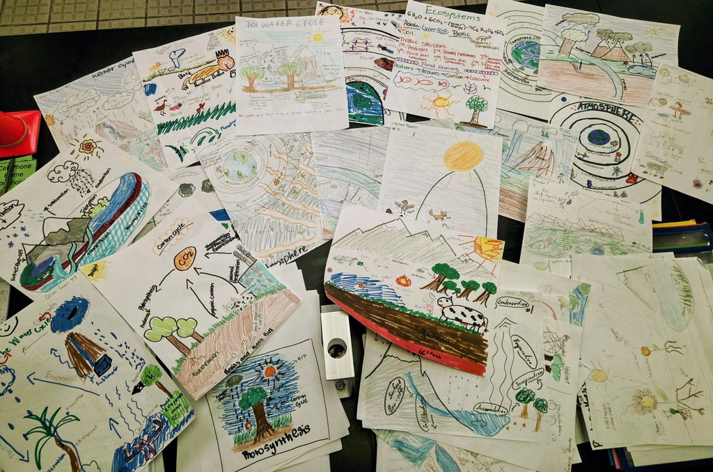 Close-up of student drawings showing labeled diagrams of the water cycle, atmosphere, and ecosystems created during the Art Carousel activity.