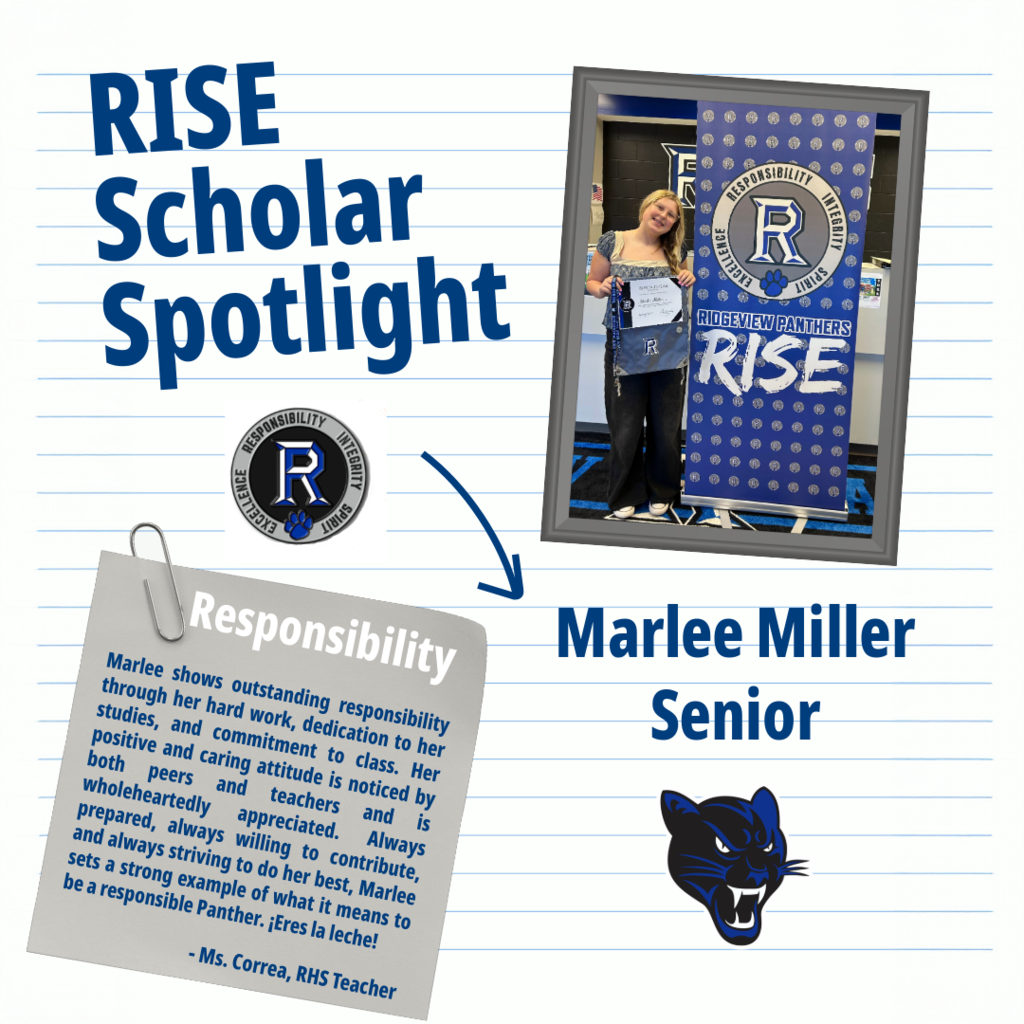 RISE Scholar