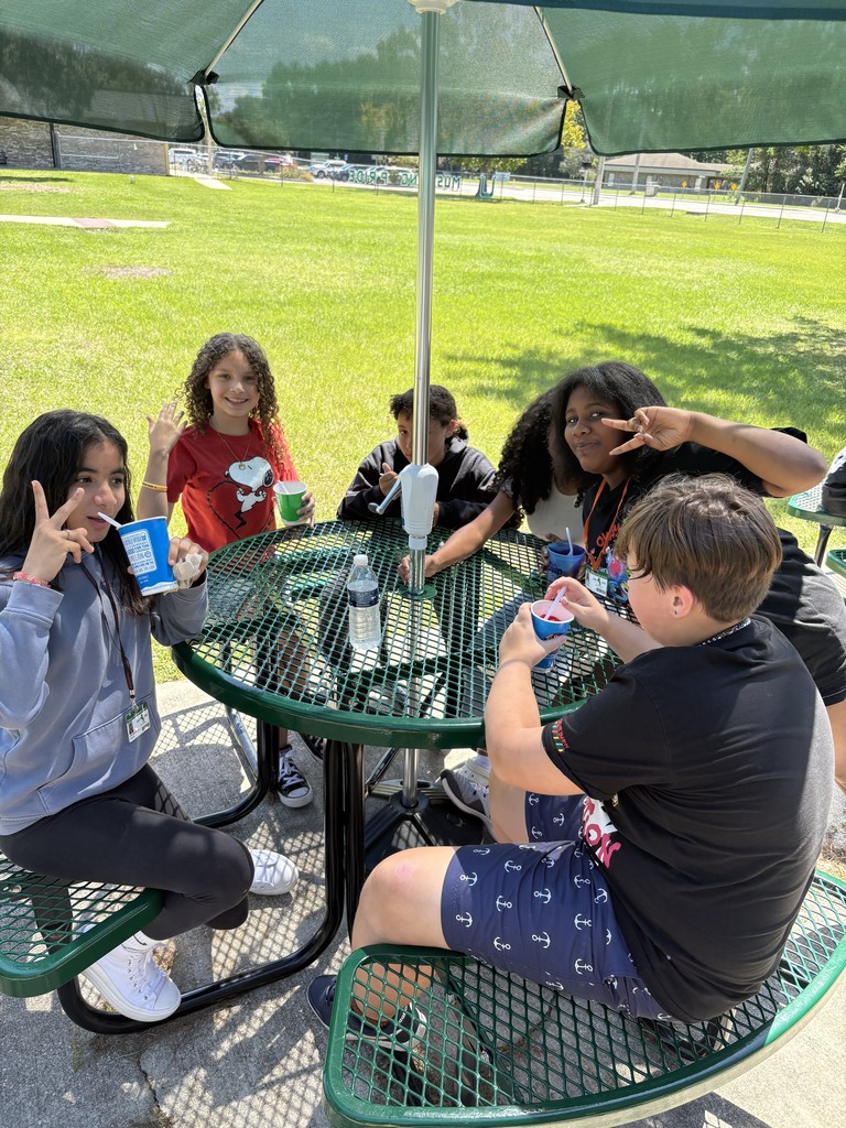 Kona Ice
