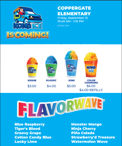 Kona Ice Flyer