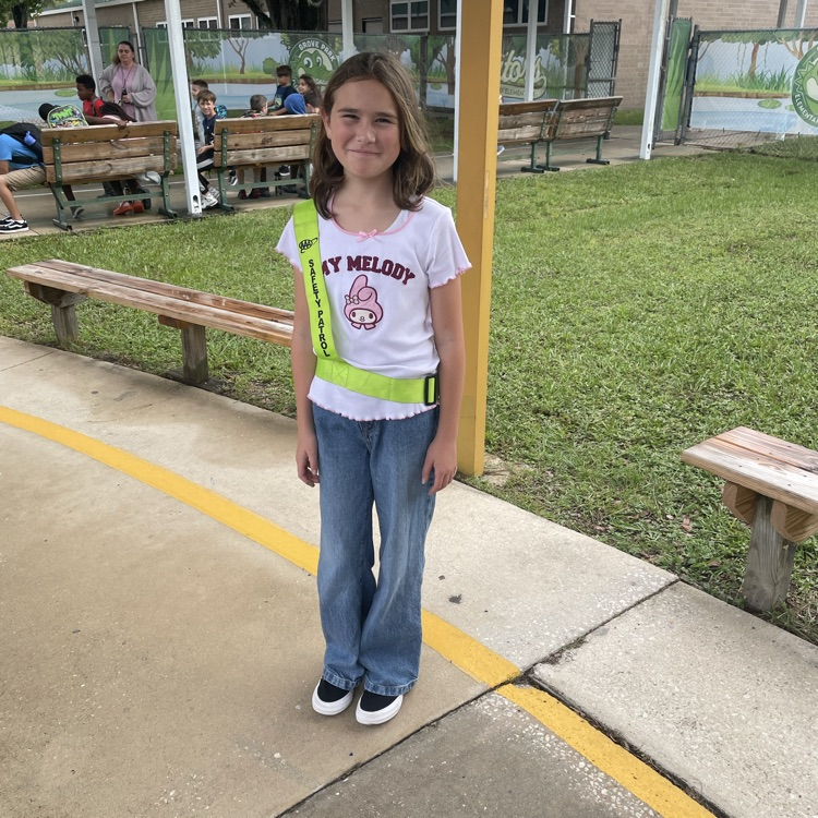 safety patrols 