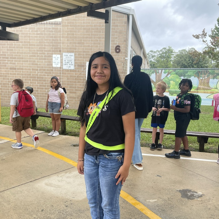safety patrols 