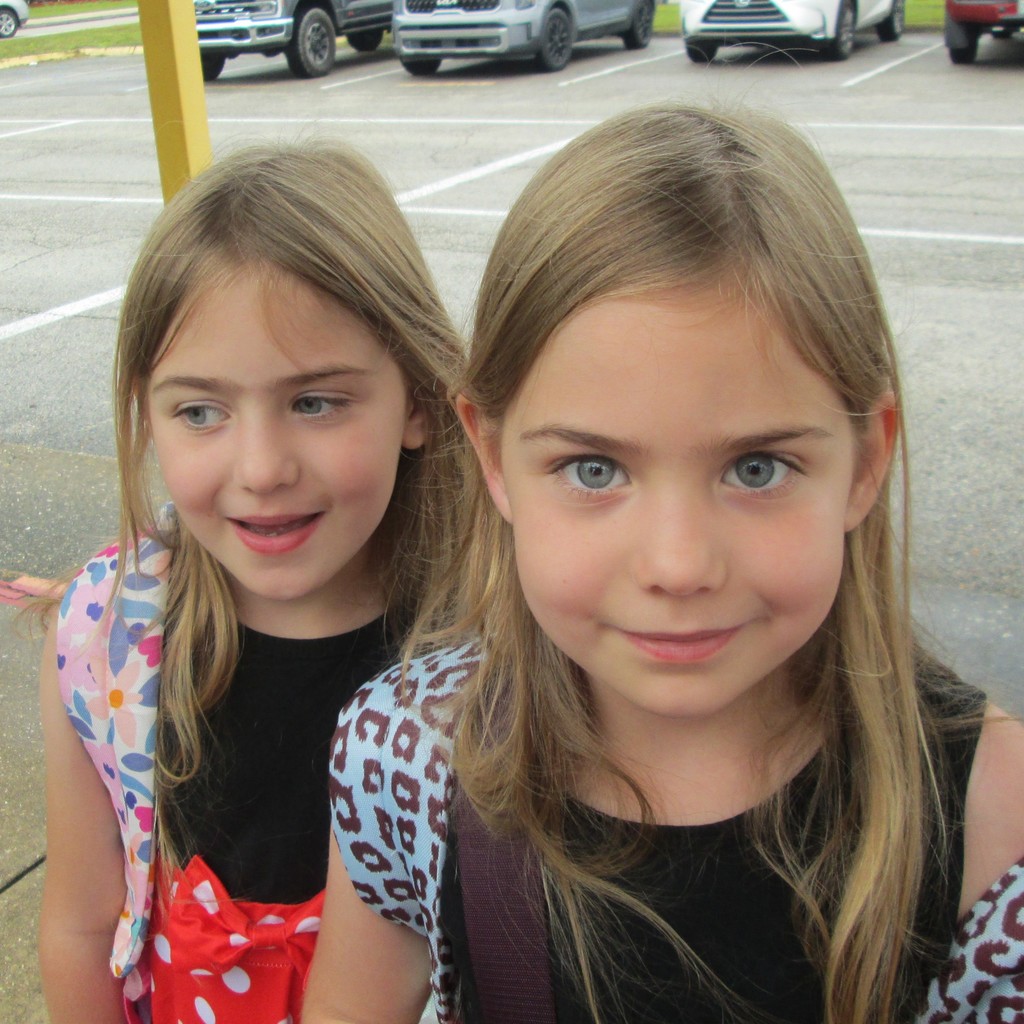 twin