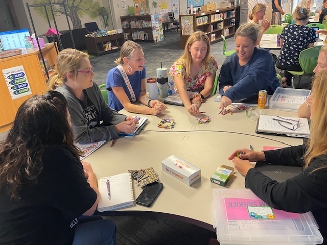 teacher stem