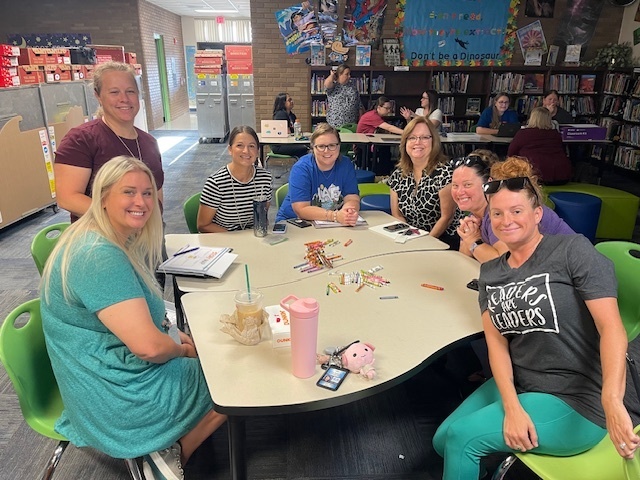 teacher stem