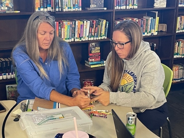 teacher stem