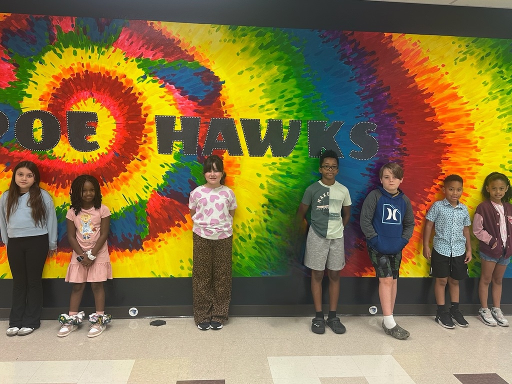 Soaring Hawks