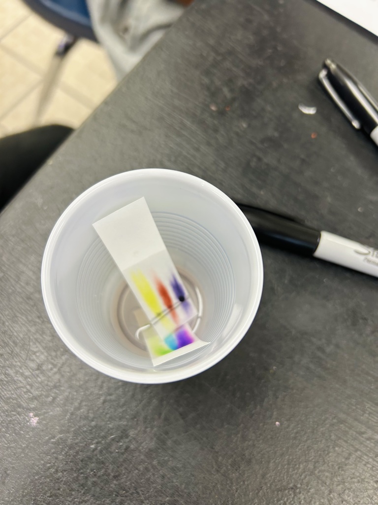 Close-up of chromatography papers showing separated colored bands from a mixture.